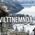 Viltnemnda